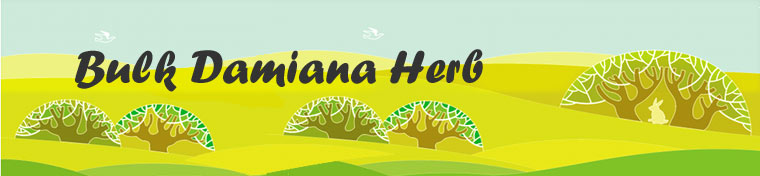 Order Damaiana in bulk from bulkherbsusa.com!